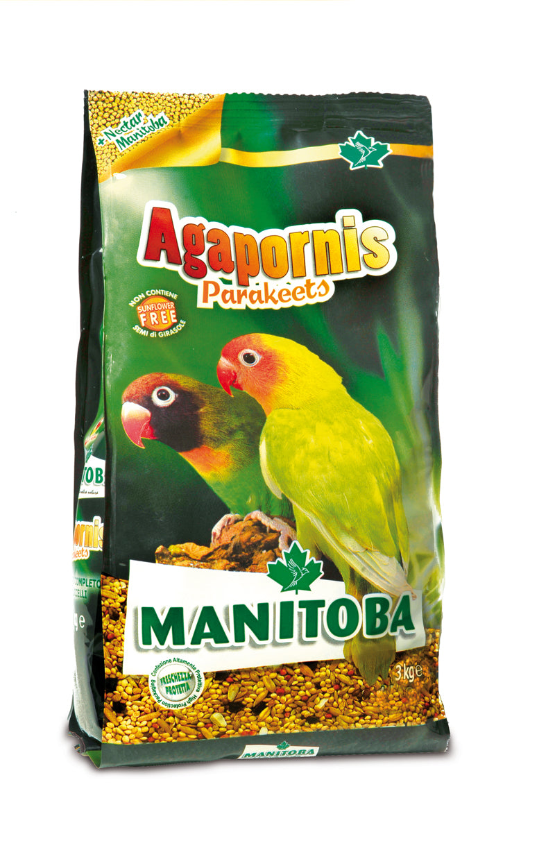 Agapornis Parakeets