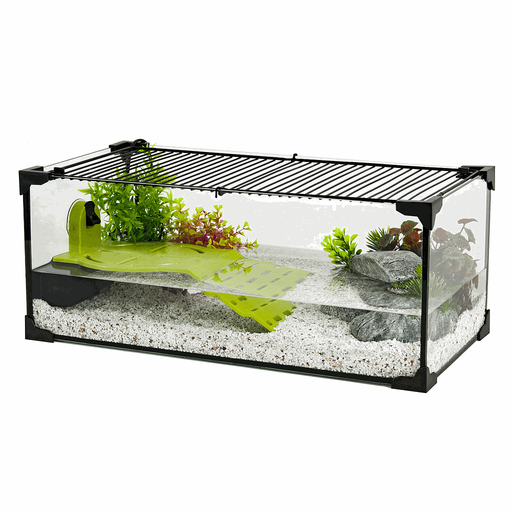 Acquaterrario Zolux Karapas Aqua Pro 60 per Tartarughe – 25 L con Filtro e Accessori