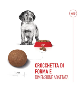Cucciolo di taglia media Royal Canin per cani, immagine del prodotto AGRIAPPIA, confezione con alimento specifico per cuccioli