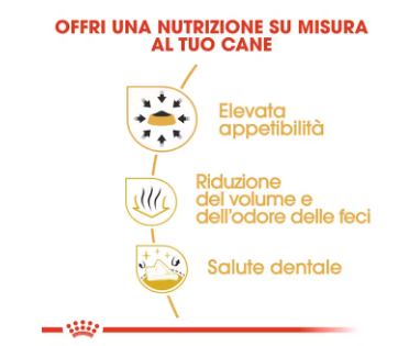 Crocchette per cani Chihuahua adult Royal Canin, alimento di alta qualità, in sacchetto con confezione del marchio AGRIAPPIA.