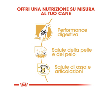 Crocchette Royal Canin per cani adulti di razza Pastore Tedesco, confezione AGRIAPPIA, visibile in immagine.