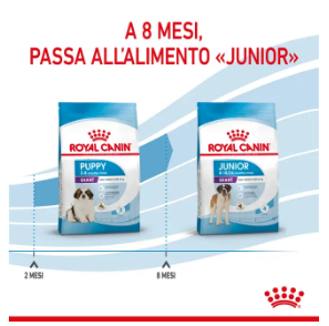 Crocchette per cani Puppy Giant Royal Canin, alimento di alta qualità, con imballaggio AGRIAPPIA, adatto a cuccioli di grandi razze
