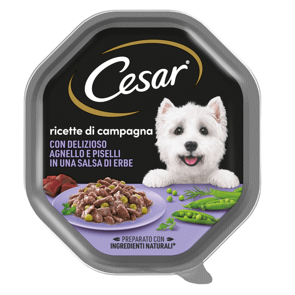 Ricetta di campagna con agnello e piselli, piatto tradizionale agrario, immagine del piatto preparato con carne e verdure fresche.