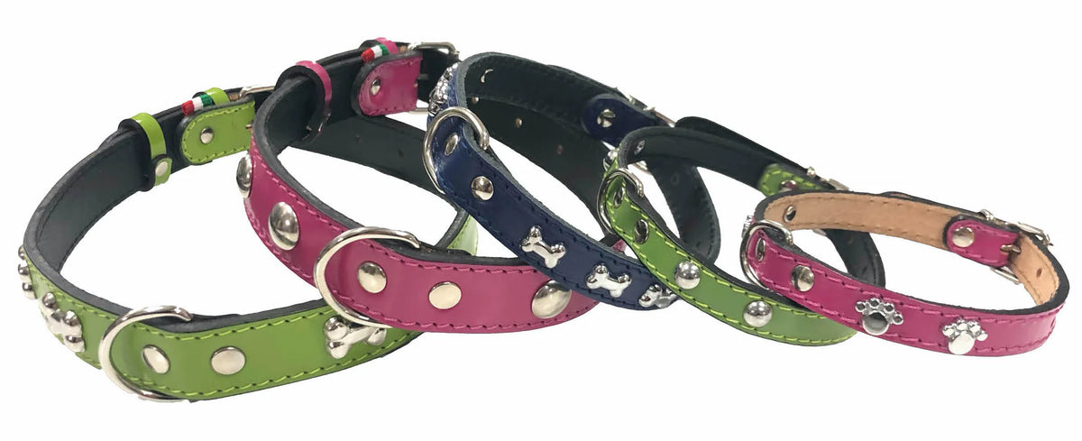 Collare color con borchie AGRIAPPIA in pelle con decorazioni in metallo, stile robusto e alla moda per cani.
