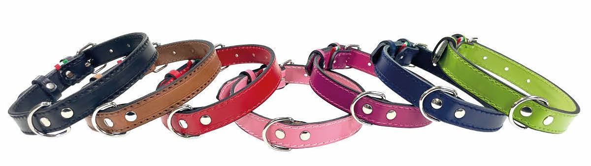 Collare in cuoio AGRIAPPIA, resistente e elegante, con fibbia in metallo, mostrato su sfondo neutro.