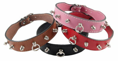 Collare Sagomato con Borchie