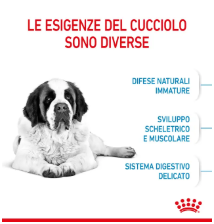 Crocchette Junior Giant Royal Canin per cani di taglia grande, confezione con sacco di alimenti per cuccioli, marchio AGRIAPPIA