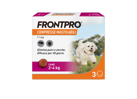 Frontpro® Cane