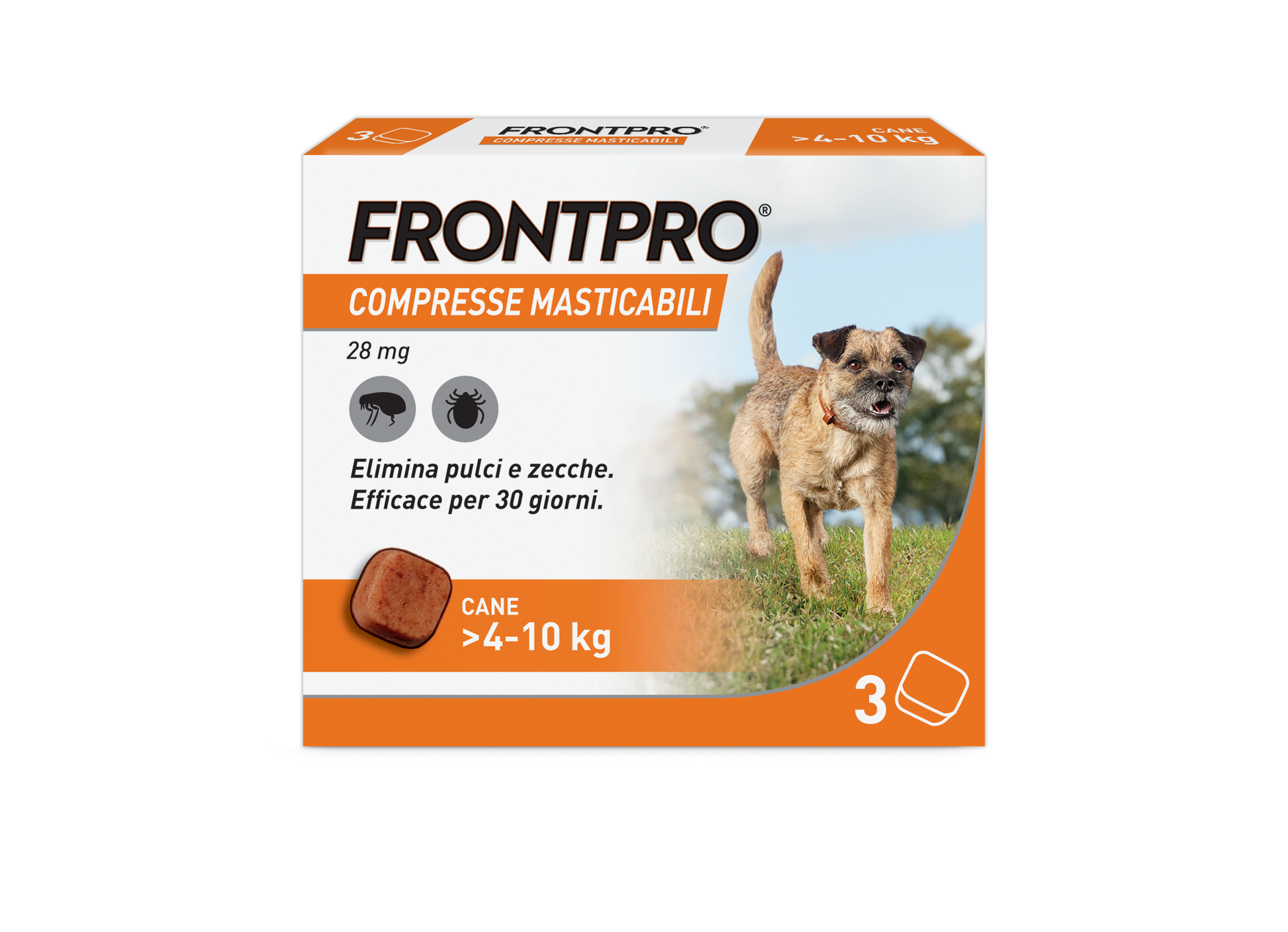 Cane Frontpro® AGRIAPPIA in plastica resistente, manico ergonomico, ideale per la pulizia e la rimozione di sporco.