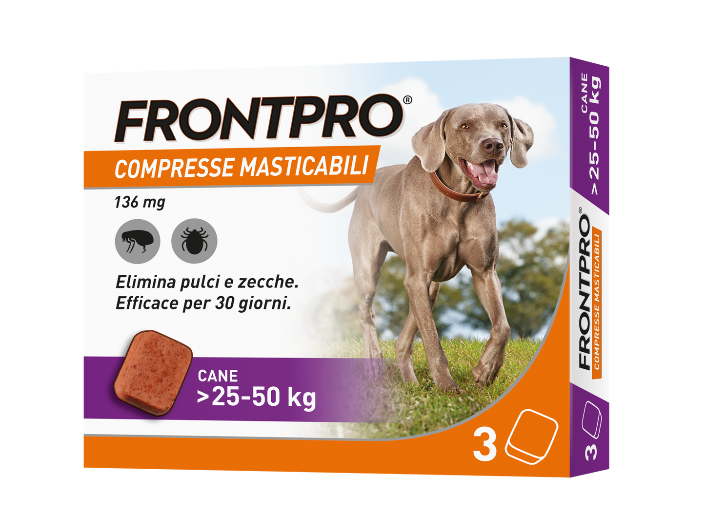 Cane Frontpro® AGRIAPPIA, prodotto in plastica, con impugnatura ergonomica e superficie liscia, per uso agricolo e alimentare.