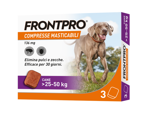 Frontpro® Cane
