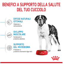 Immagine di un sacco di crocchette Junior Giant Royal Canin di AGRIAPPIA, con confezione bianca e dettagli blu e rossi