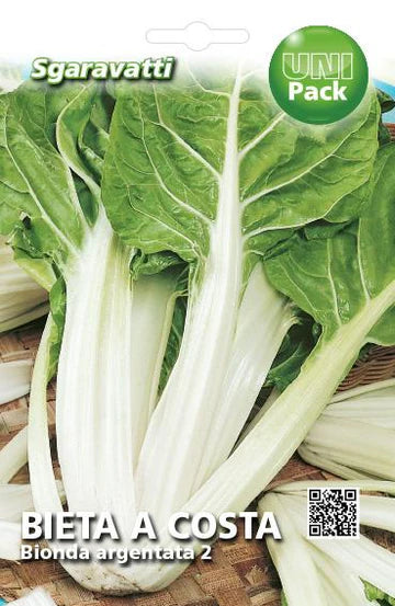 Bieta bionda a costa argentata AGRIAPPIA, semi da orto con foglie verde brillante e steli robusti, pronta per la coltivazione