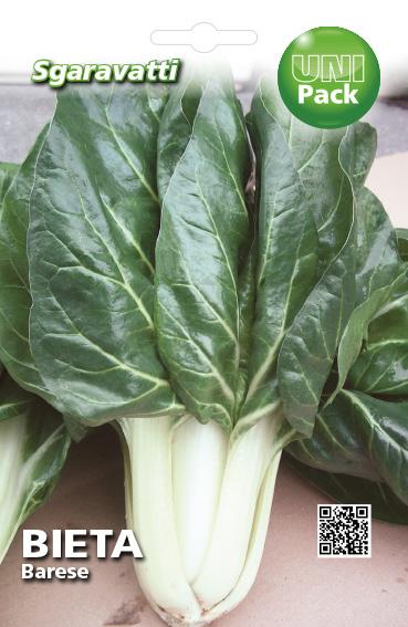 Bieta Barese fresca di AGRIAPPIA, foglie verdi e croccanti, pronta per essere cucinata o insalata.
