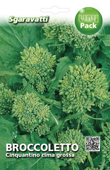 Broccoletto Cinquantino a Cima Grossa AGRIAPPIA, verdura fresca e croccante con germogli verdi e cimette compatte.