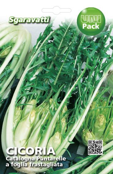Cicoria Catalogna Puntarelle a Foglia Frastagliata