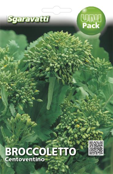 Broccoletto Centoventino