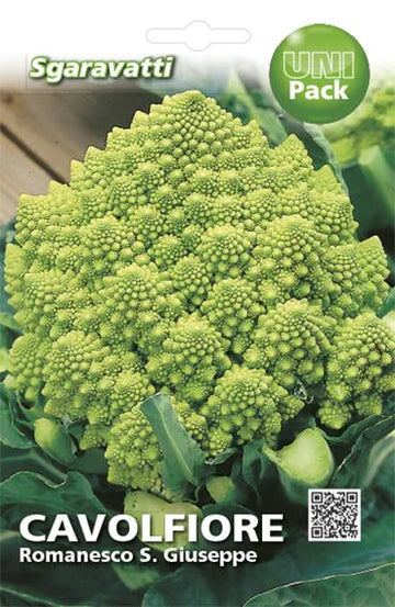 Cavolfiore romanesco S. Giuseppe di AGRIAPPIA, primo piano con dettagli della sua forma distintiva e colore verde brillante.