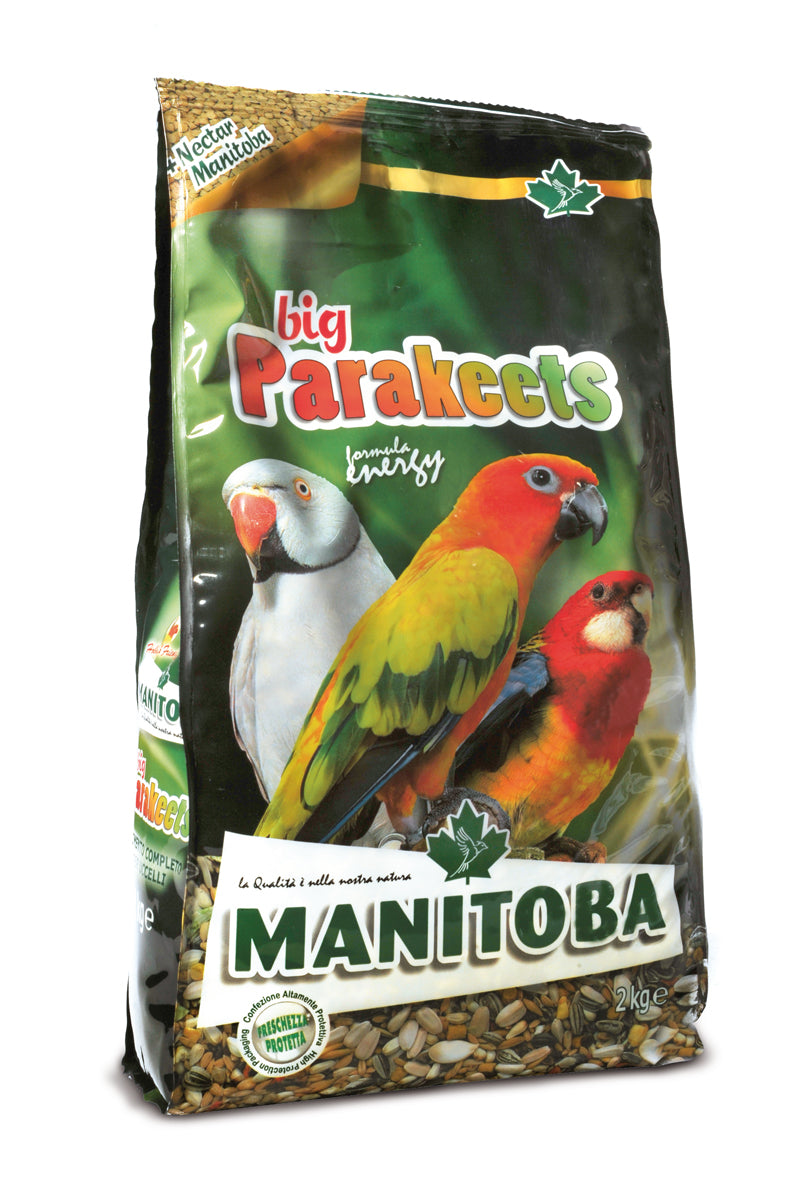 Big Parakeets Energy