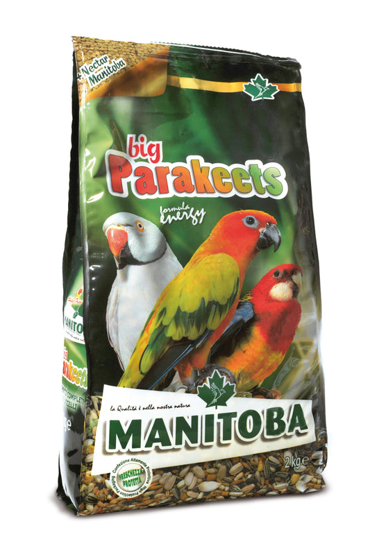 Big Parakeets Energy