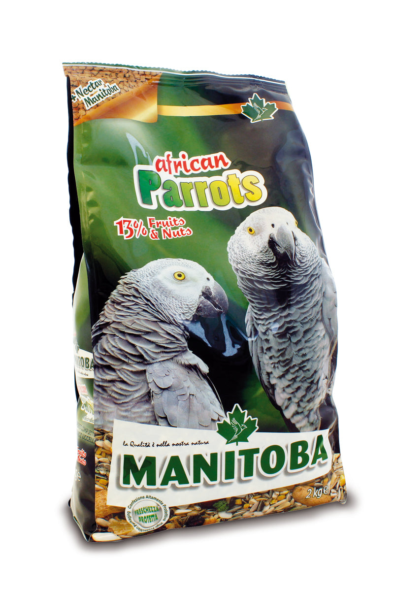 African Parrots