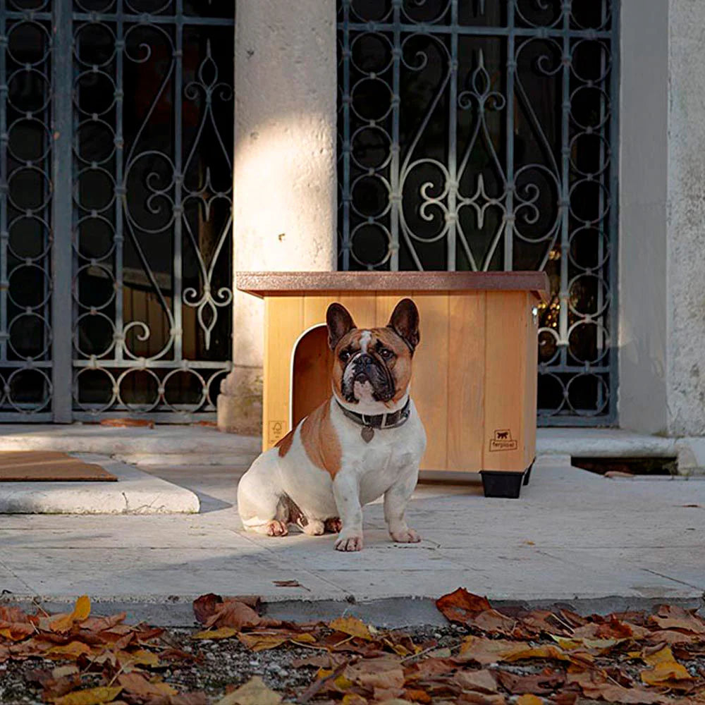 Cuccia AGRIAPPIA Baita 60 in legno, con ingresso e pareti robuste, ideale per cani di taglia media.
