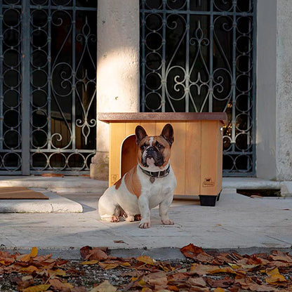 Cuccia AGRIAPPIA Baita 60 in legno, con ingresso e pareti robuste, ideale per cani di taglia media.