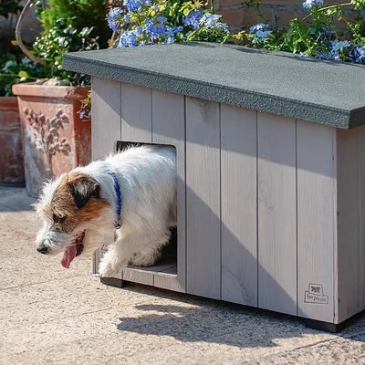 Cuccia ARGO 80 di AGRIAPPIA, struttura robusta per cani, con pareti in legno e porta d'ingresso, ideale per esterno