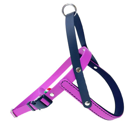 Pettorina in PVC AGRIAPPIA con design resistente, ideale per cani, con chiusure regolabili e morbida finitura.