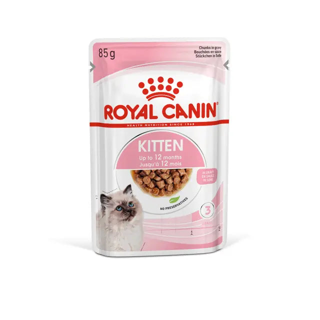 Gatto neonato in salsa per gatti AGRIAPPIA, ciotola con il cibo umido, dettaglio del cibo per animali domestici.
