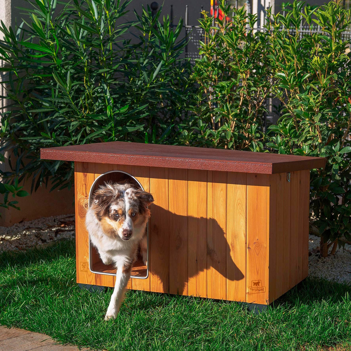 Cuccia Baita AGRIAPPIA per cani, struttura in legno con finestra, ideale per il riposo all'aperto.