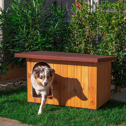Cuccia Baita AGRIAPPIA per cani, struttura in legno con finestra, ideale per il riposo all'aperto.