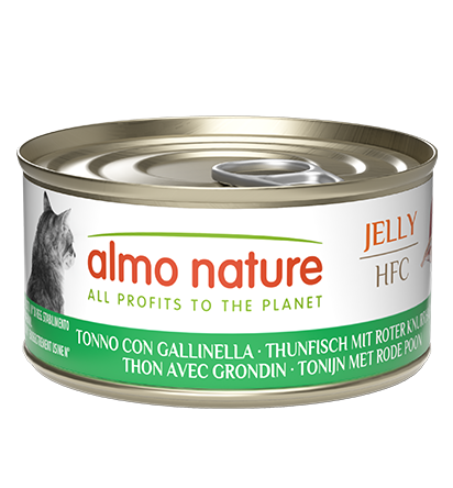 Gatto che mangia Almo Nature HFC Jelly, alimento complementare in scatola da 70g, marca AGRIAPPIA, con involucro di vetro trasparente