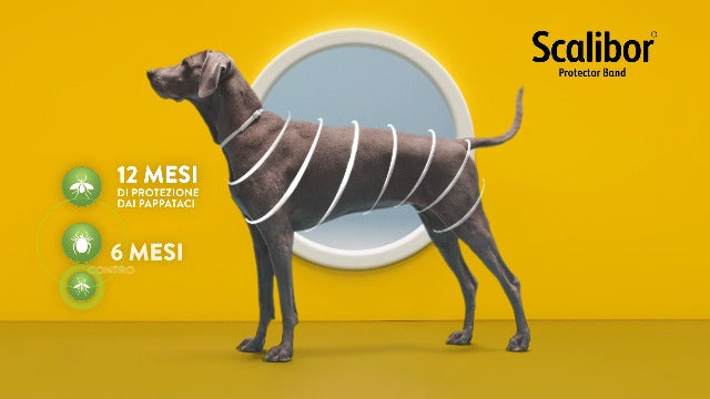 Collare antiparassitario Scalibor per cani, prodotto da AGRIAPPIA, con chiusura regolabile e istruzioni di utilizzo visibili.