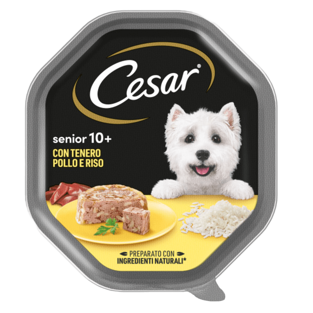 Cibo per cani Cesar Senior 10+ Pollo e Riso, confezione con ciotola, marca AGRIAPPIA, alimento umido per cani anziani
