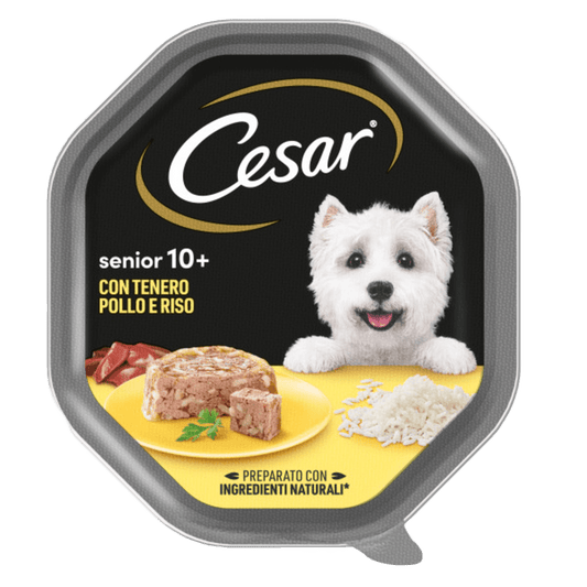 Cesar Senior 10+ Pollo e Riso