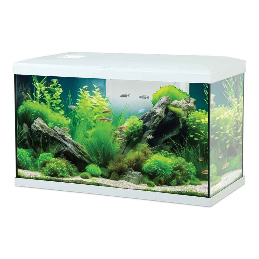 Acquario Zolux Tana 60 Completo Bianco – 63 L con Filtro, LED e Riscaldatore