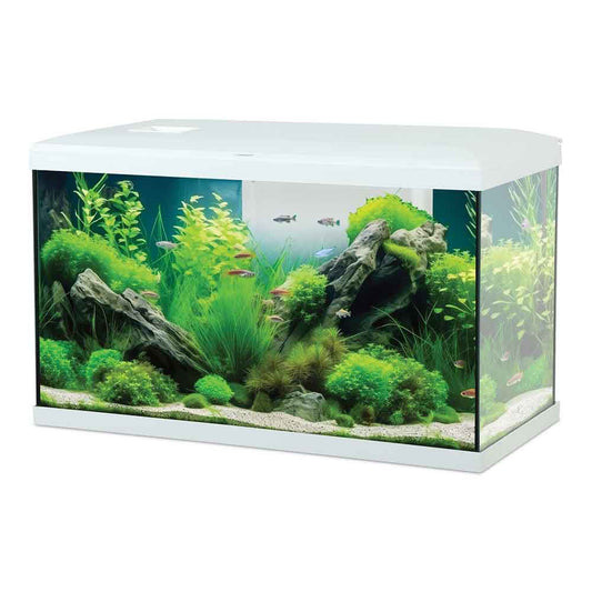 Acquario Zolux Tana 60 Completo Bianco – 63 L con Filtro, LED e Riscaldatore