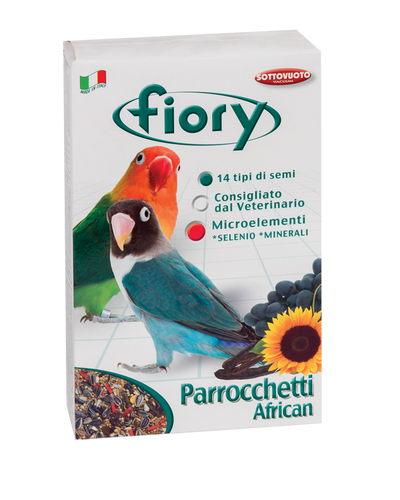 Parrocchetti African