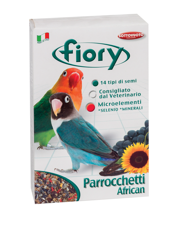 Parrocchetti African