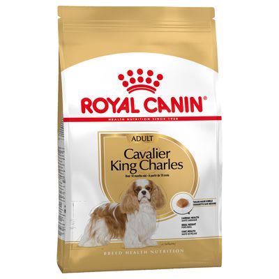 Cibo per cani Cavalier King Charles Adult Royal Canin, confezione AGRIAPPIA, crocchette per cani adulti di piccola taglia