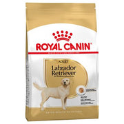 Labrador Retriever Adult Royal Canin