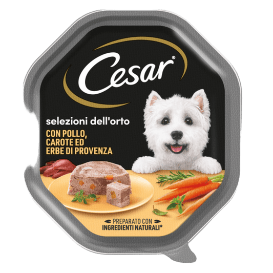Selezione dell'orto Pollo e Carote