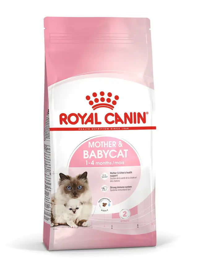 Immagine di un gattino mamma e cuccioli di gatto AGRIAPPIA, visibili in un ambiente naturale e accogliente.