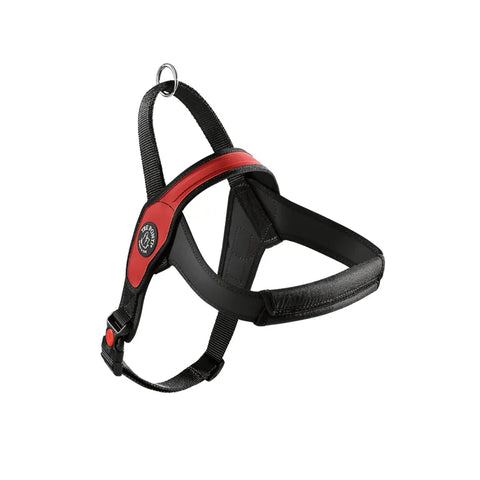 Primo Pettorina Tre ponti