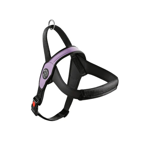 Primo Pettorina Tre ponti