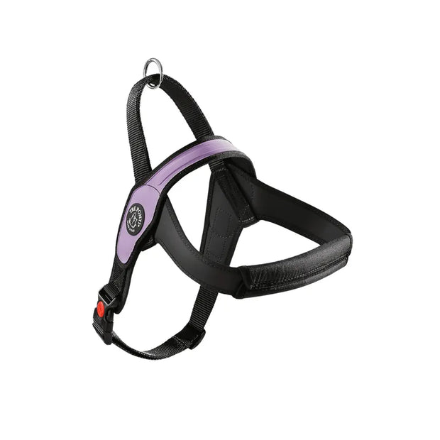 Primo Pettorina Tre ponti