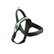 Primo Pettorina Tre ponti