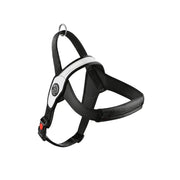 Primo Pettorina Tre ponti