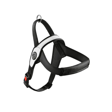 Primo Pettorina Tre ponti